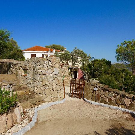 Casa Arancio Olbia Bagian luar foto
